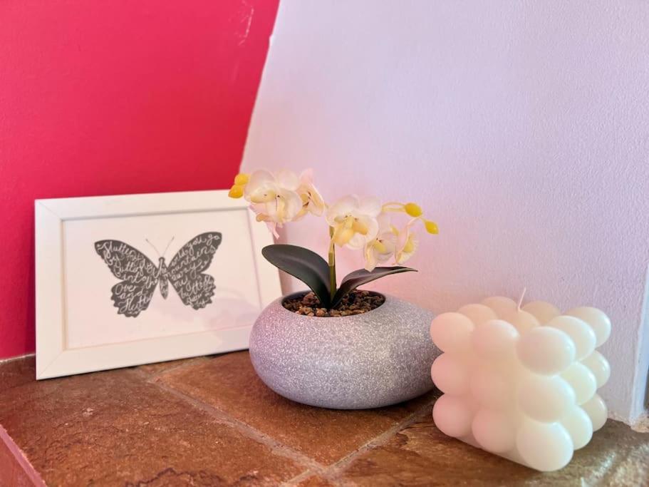 Cozy Fairytal Garden Apartment, Family Friendly, Free Parking, 15 Min To Airport 雅典 外观 照片